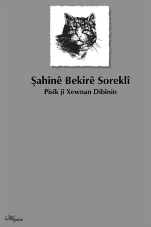 Pisîk Jî Xewnan Dibînin - Şahînê Bekirê Soreklî - pirtûkên kurdî - roman